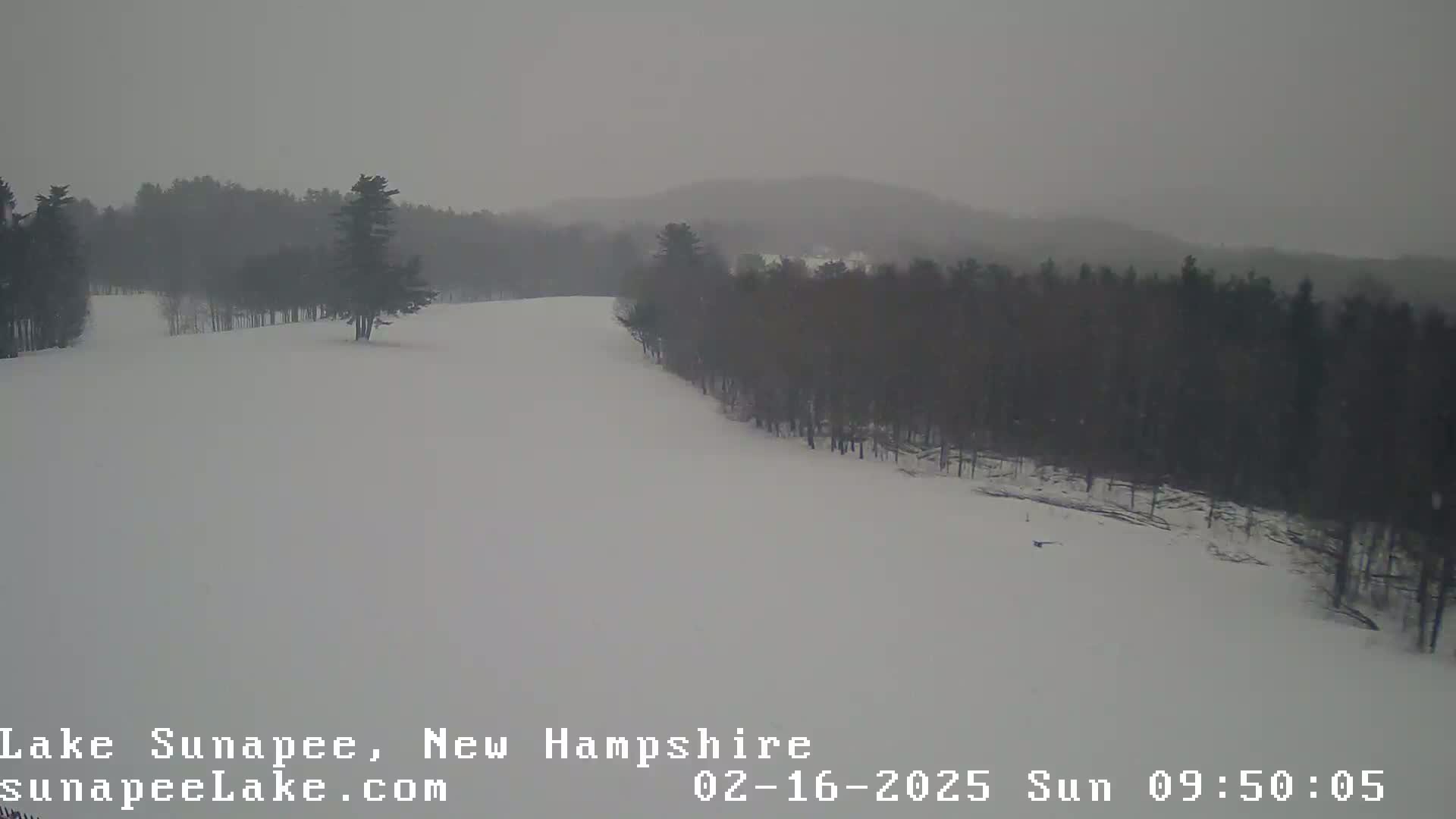 A snow-covered landscape with a line of trees on the right, under overcast snowy conditions.