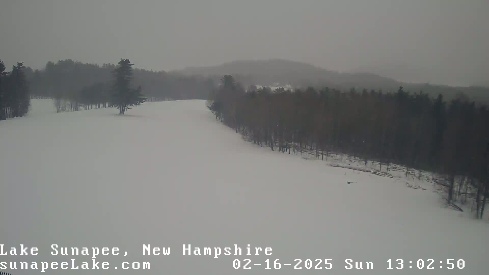 A snow-covered landscape with a line of dark trees under an overcast sky.