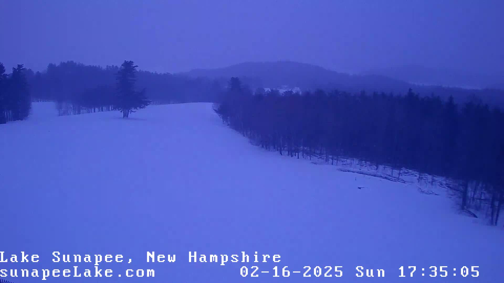 A snow-covered landscape with dark trees lining a gently sloping hill under a dusky sky.