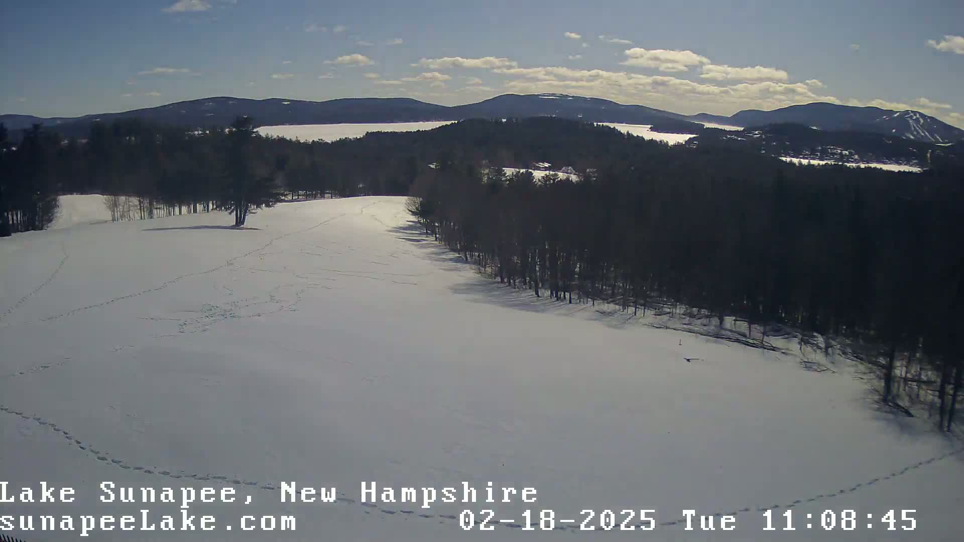 A snow-covered field with animal tracks, a stand of trees, and a distant view of a lake and mountains under a partly sunny sky.