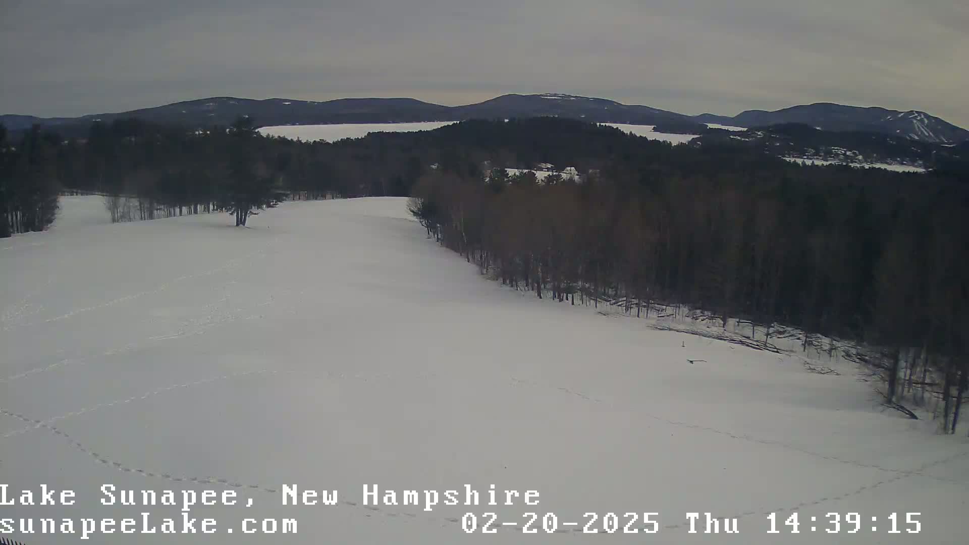 A snow-covered field with a line of dark trees and distant mountains under an overcast sky.