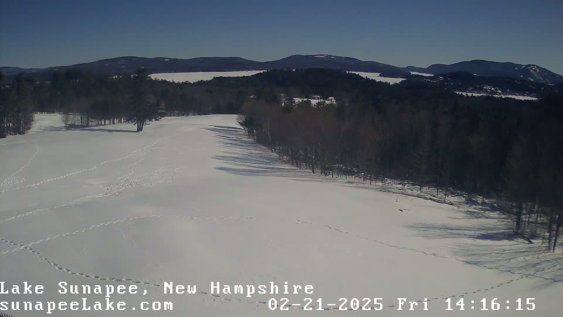 A snow-covered field with animal tracks, bordered by dark trees and distant mountains under a clear blue sky.