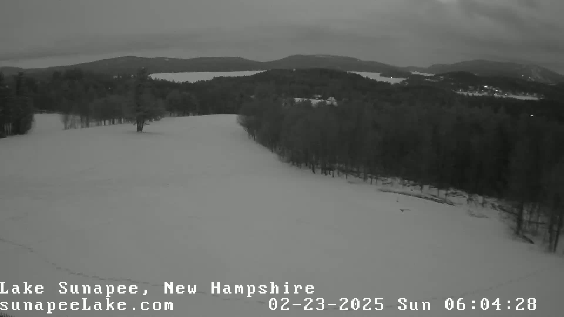 A snow-covered hillside slopes down toward a dark, wooded area, overlooking a distant lake under an overcast sky.
