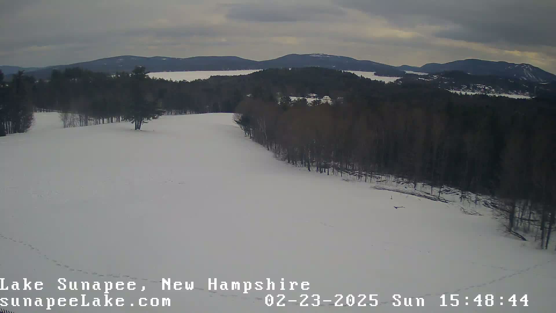 A snow-covered landscape with dark, leafless trees and a body of water visible in the distance under an overcast sky.
