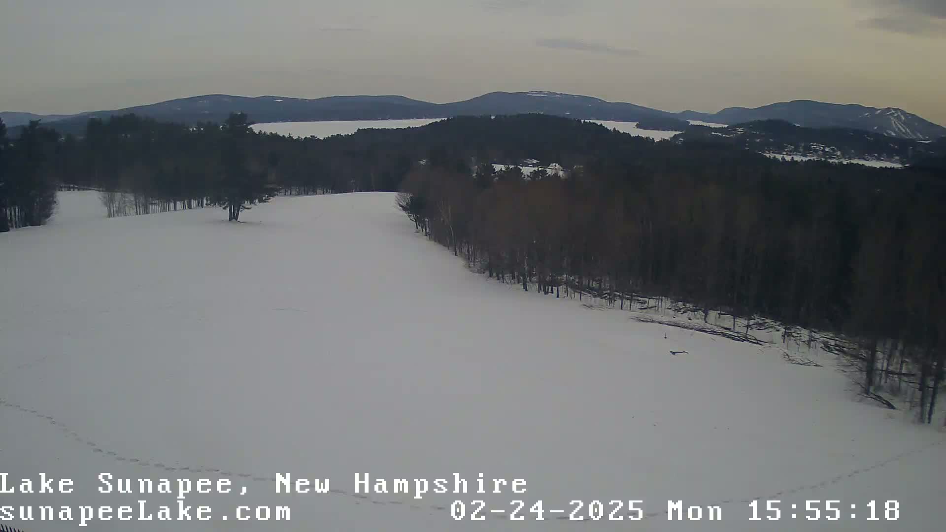 A snow-covered field with a line of bare trees and distant mountains under an overcast sky.