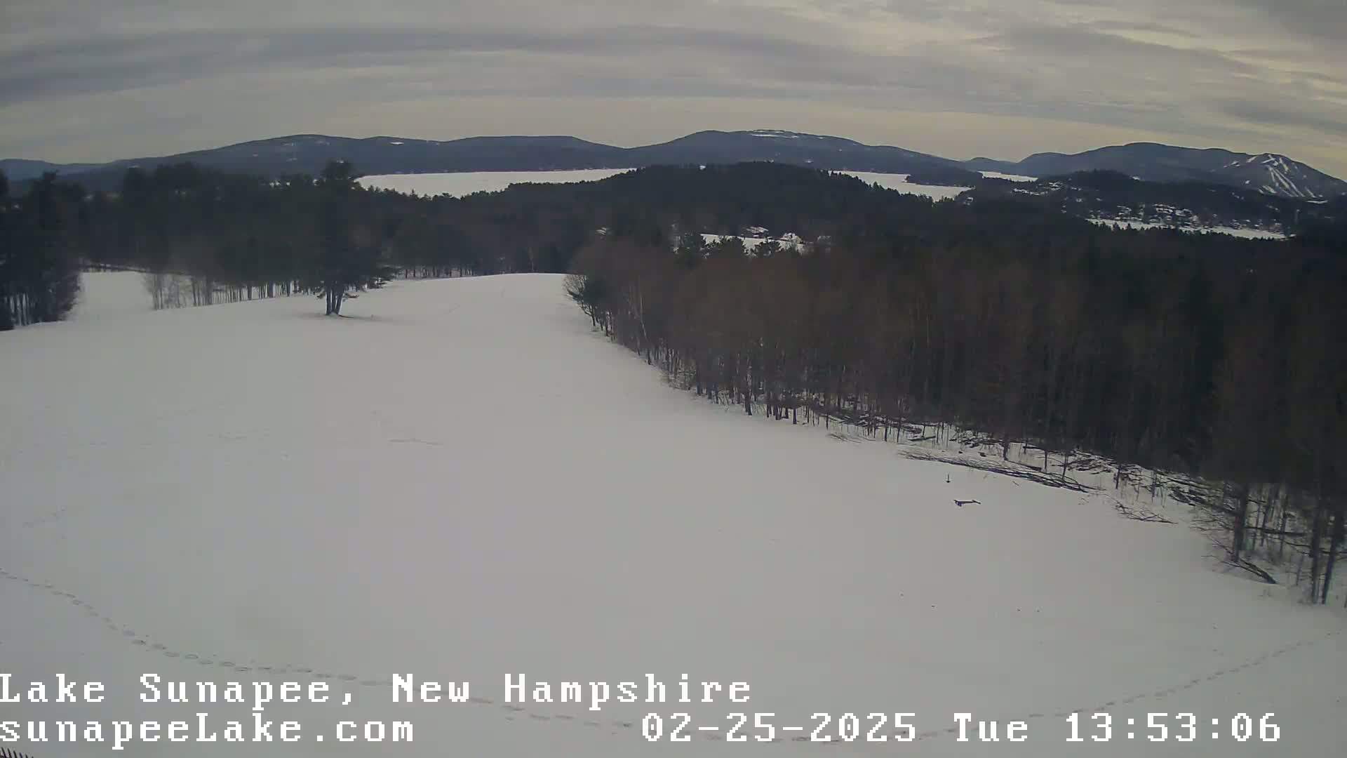 A snow-covered field slopes down to a line of leafless trees bordering a lake and distant mountains under an overcast sky.