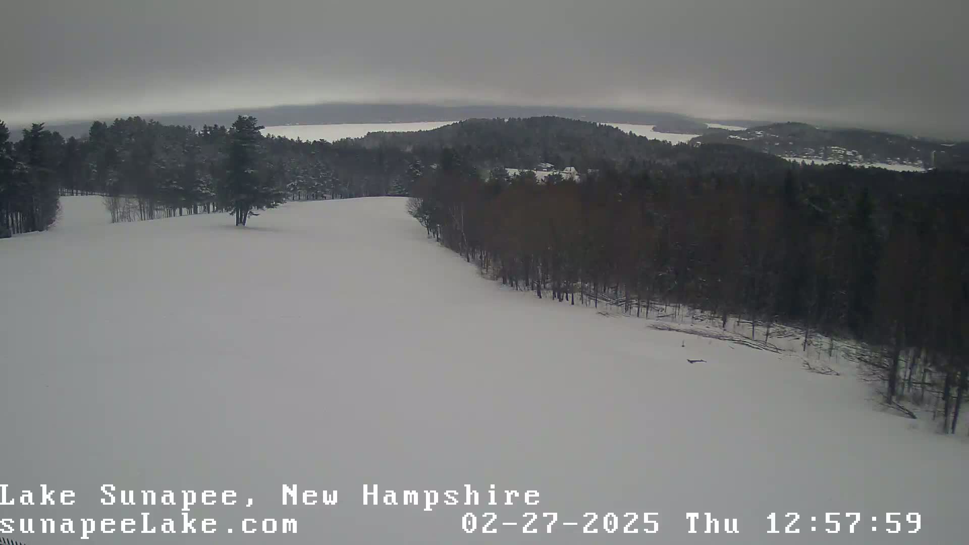 A snow-covered landscape with a line of trees overlooking a body of water under an overcast sky.