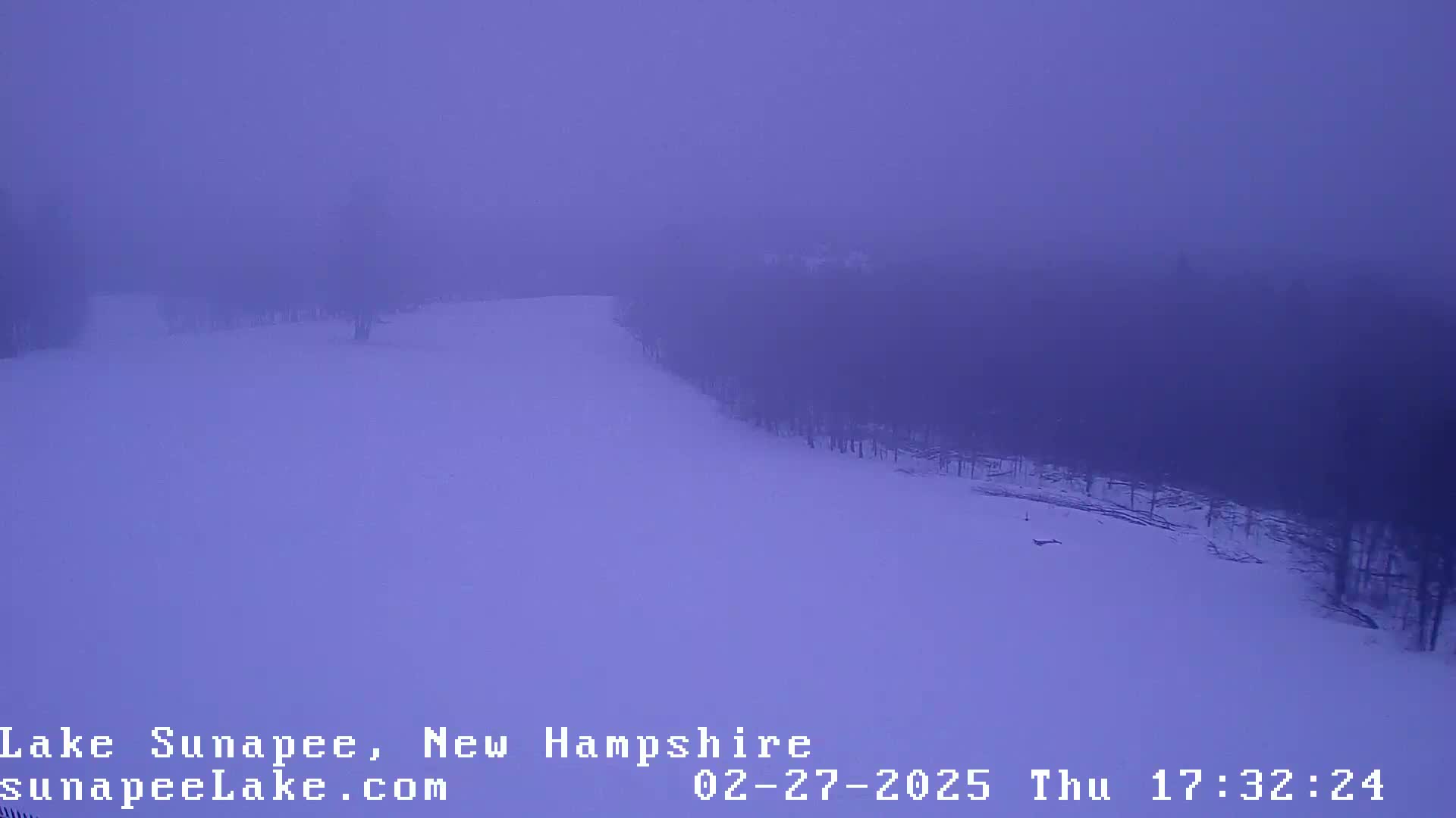 A snow-covered landscape is shrouded in dense fog, with dark trees visible along a gently sloping hillside.