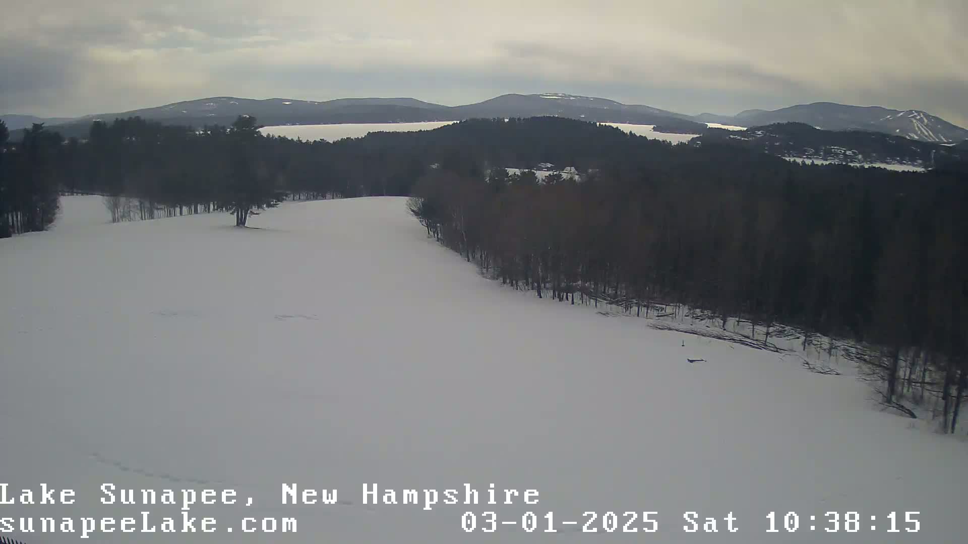 A snow-covered landscape shows a gently sloping hill lined with bare trees overlooking a lake and distant mountains under an overcast sky.