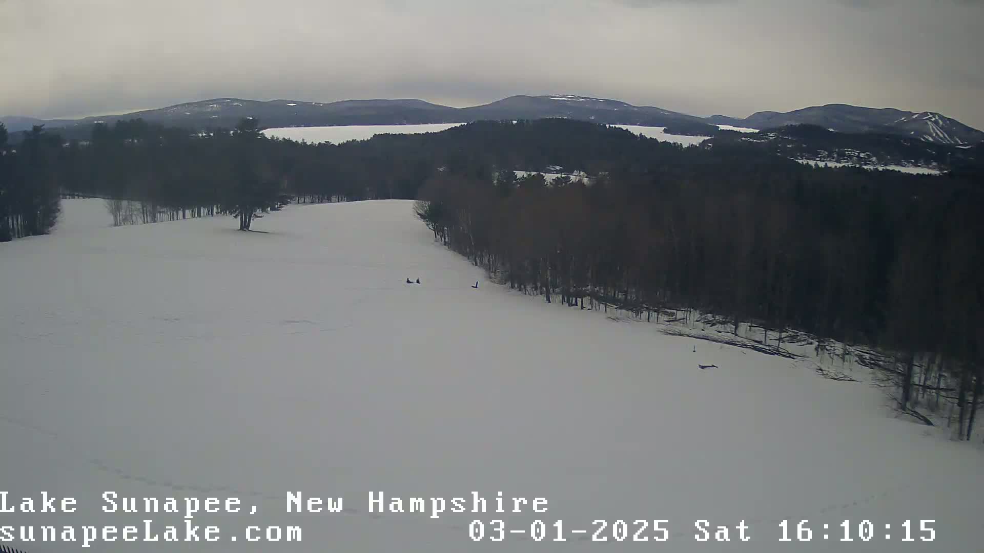 A snow-covered landscape with dark, leafless trees bordering a wide, gently sloping snowfield, overlooks a distant lake and mountains under an overcast sky.
