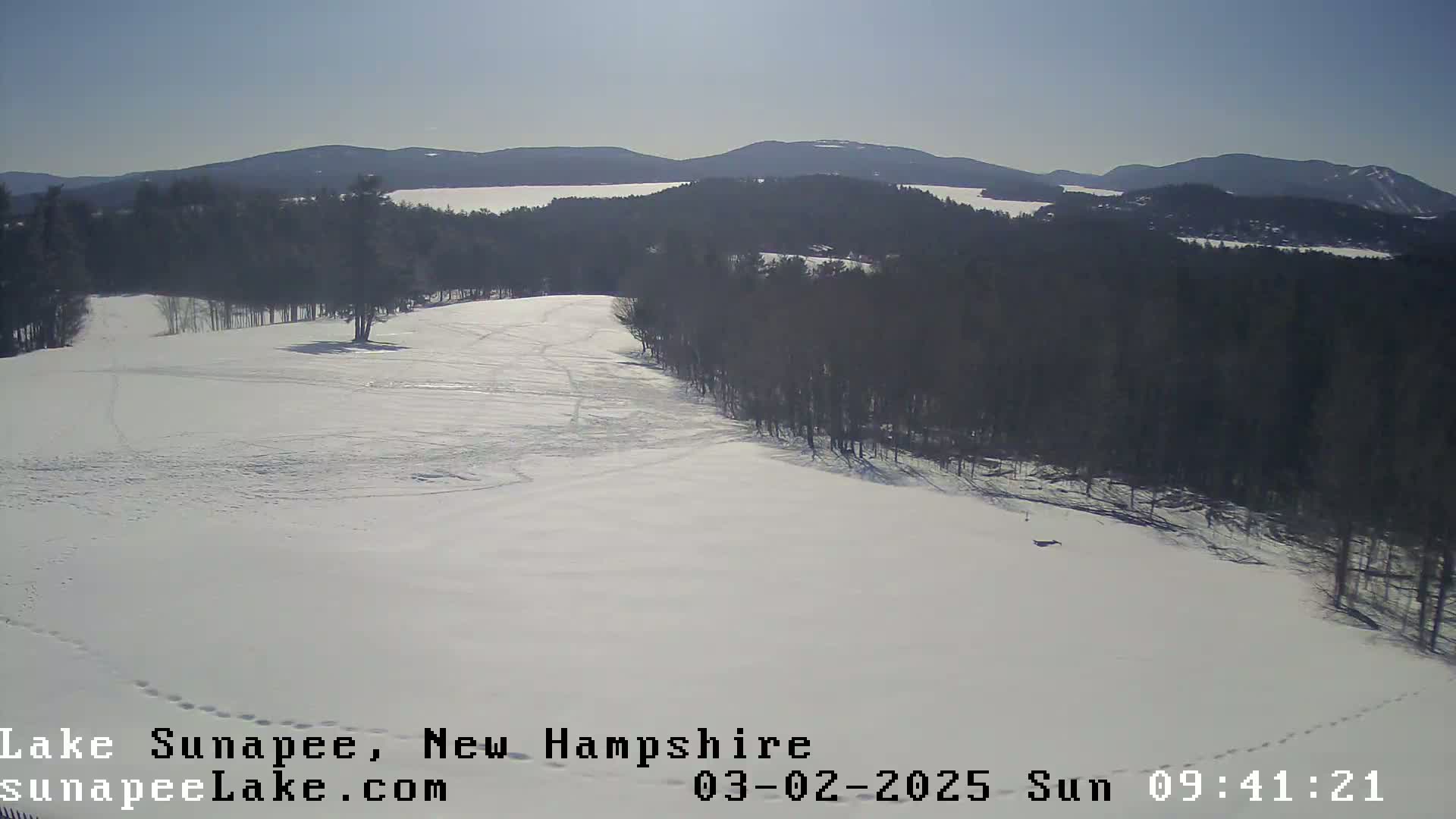 A snow-covered landscape with a line of dark trees in the background under a clear, bright sky.