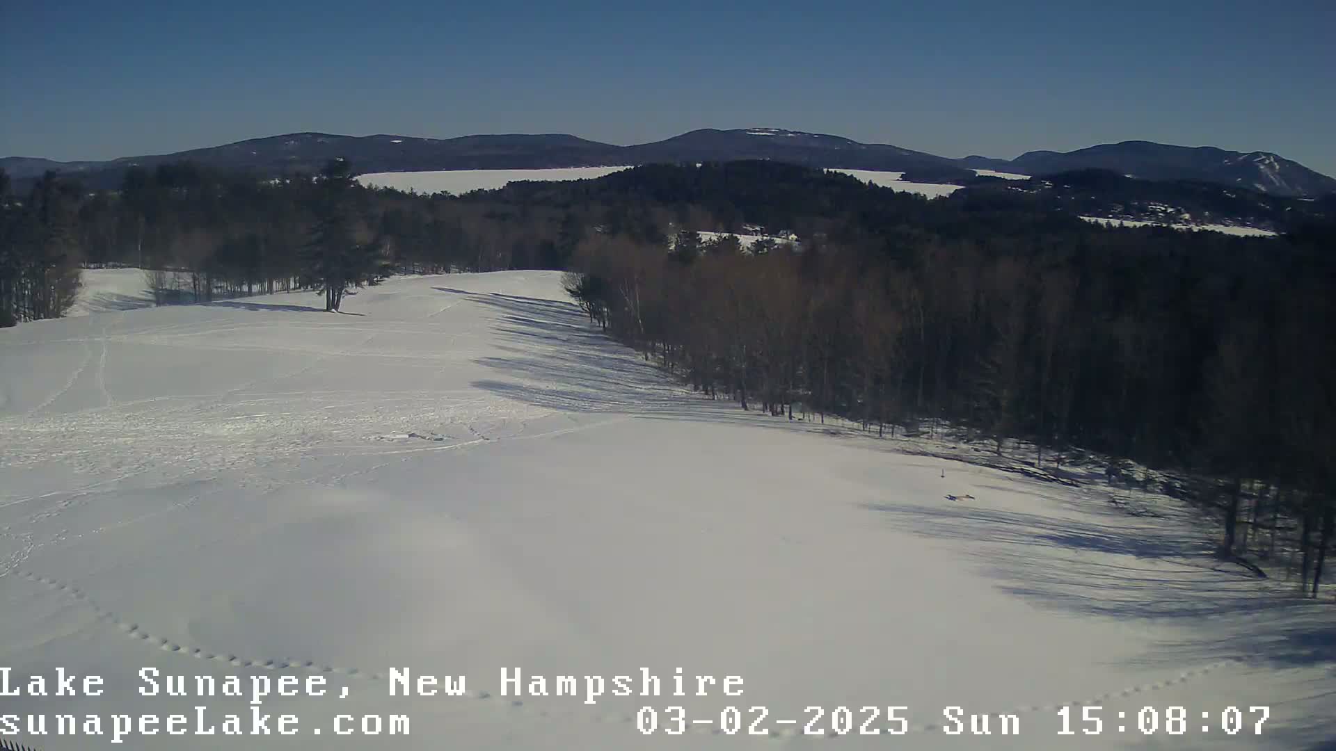 A snow-covered landscape with leafless trees and distant mountains under a clear blue sky.