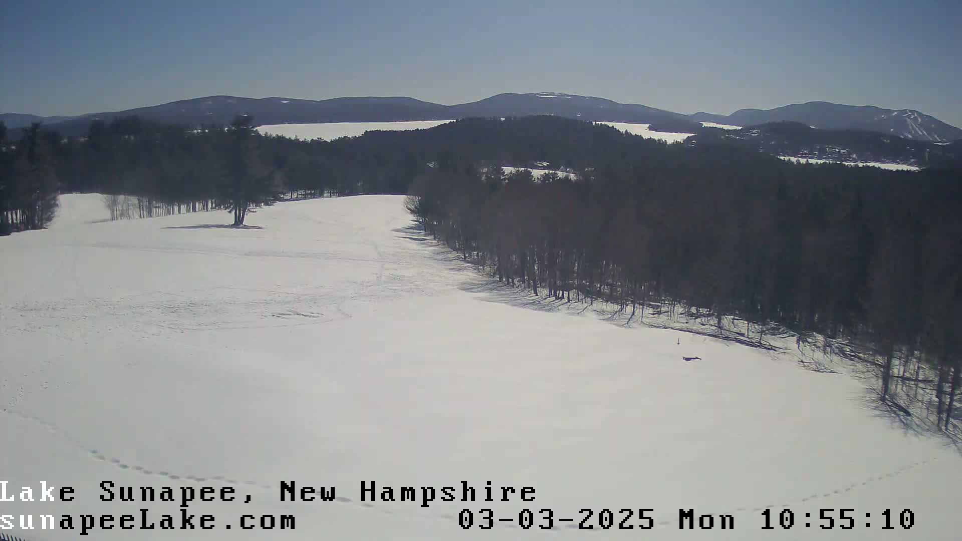 A snow-covered landscape with a line of bare trees and distant mountains under a clear blue sky.