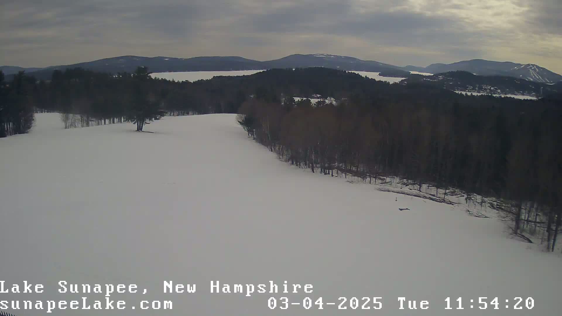 A snow-covered hill slopes down to a line of bare trees, beyond which lies a lake and distant mountains under a cloudy sky.