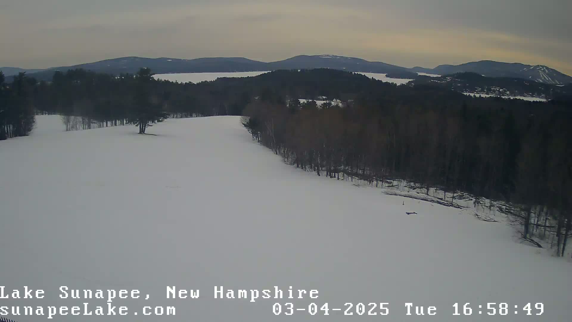 A snow-covered landscape with a line of dark trees bordering a wide, open snowy area, overlooking a lake and distant mountains under an overcast sky.