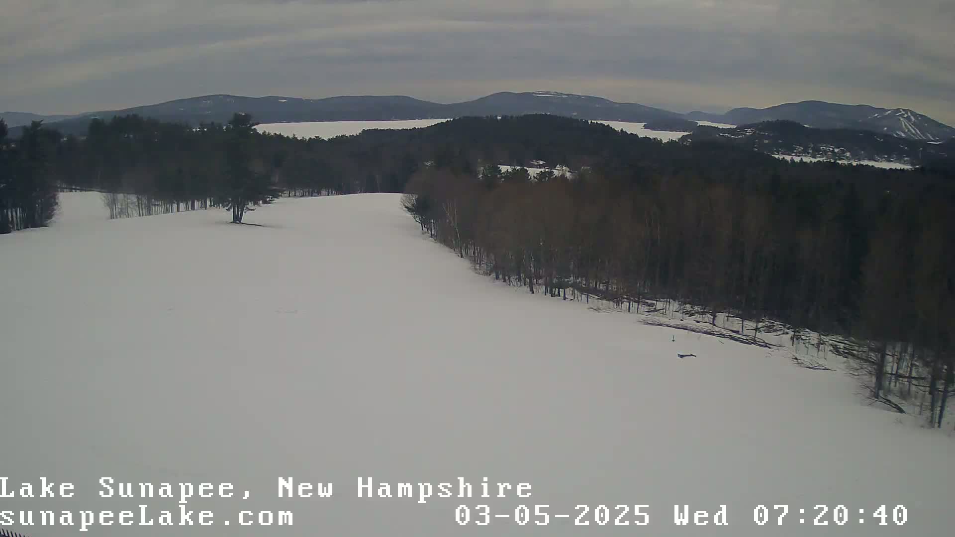A snow-covered landscape with a stand of leafless trees on a hill overlooking a lake and distant mountains under an overcast sky.