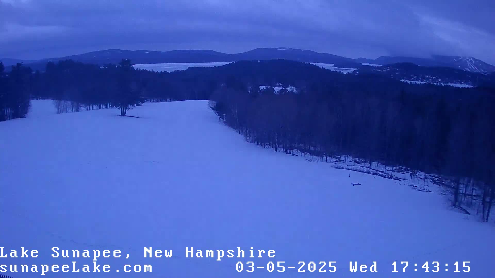 A snow-covered hill slopes down toward a dark forest under a twilight sky.
