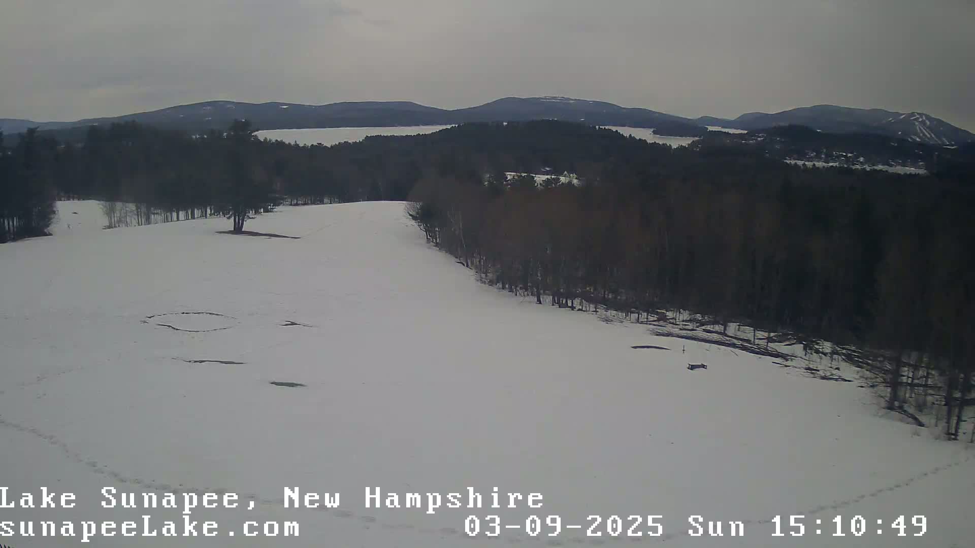 A snow-covered landscape with dark evergreen trees and distant mountains under an overcast sky.