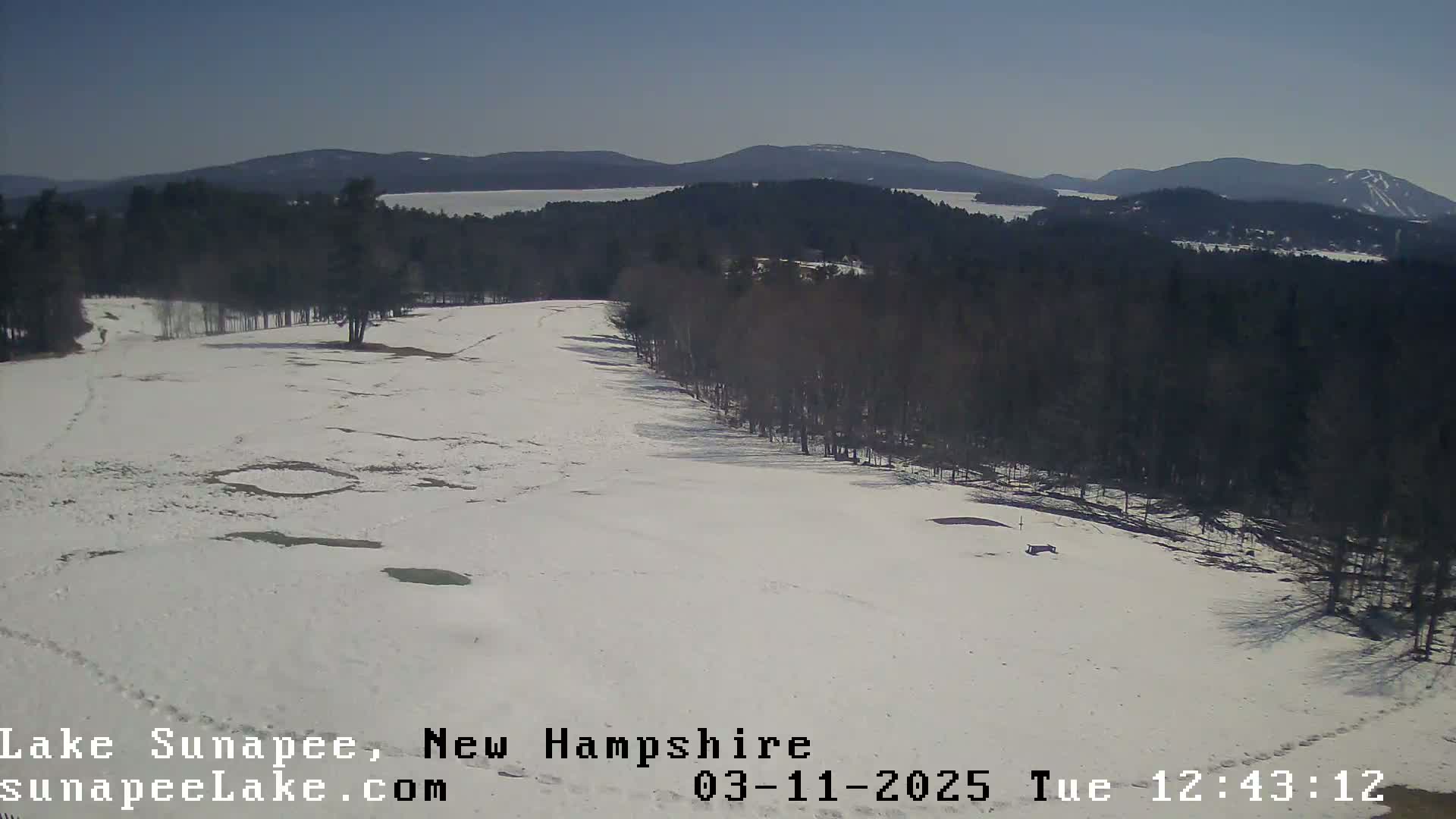 A snow-covered landscape with a line of bare trees bordering a mostly clear, snow-covered field, and distant mountains under a clear sky.