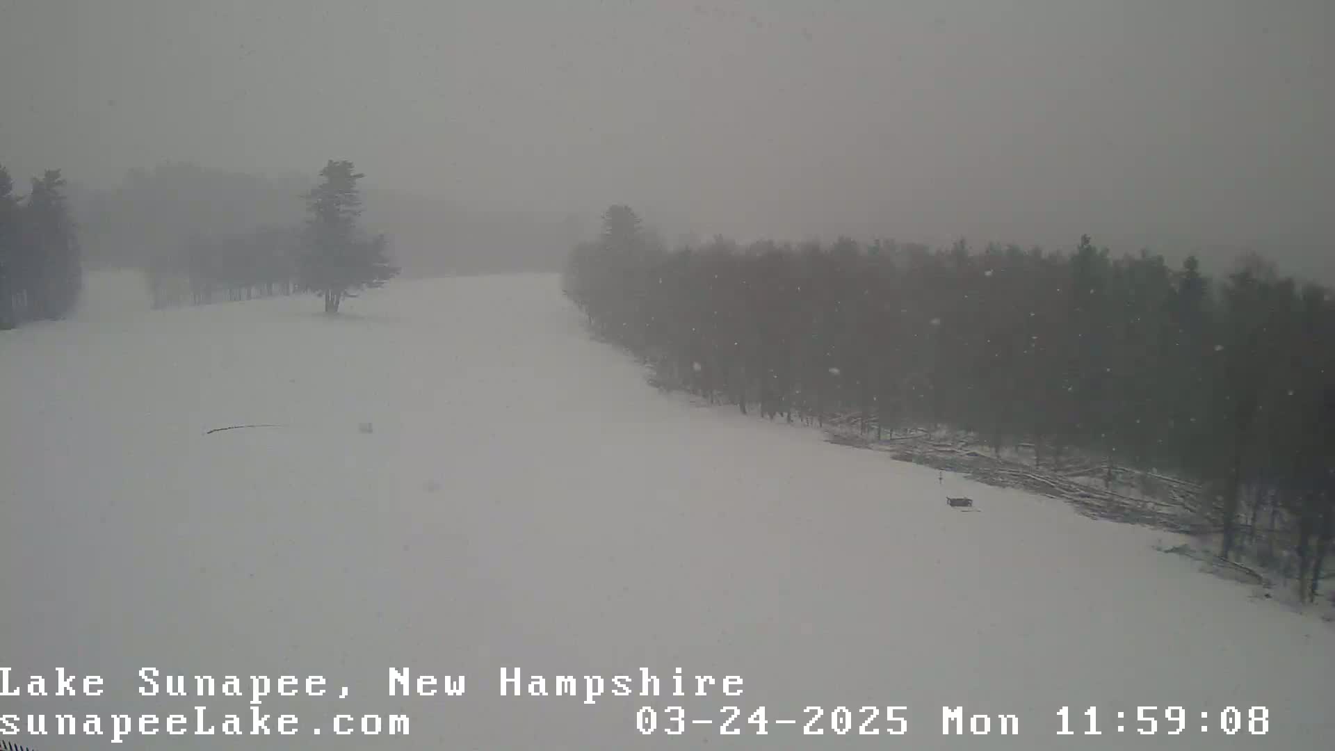 A snow-covered landscape with a line of trees in the background during a heavy snowfall.