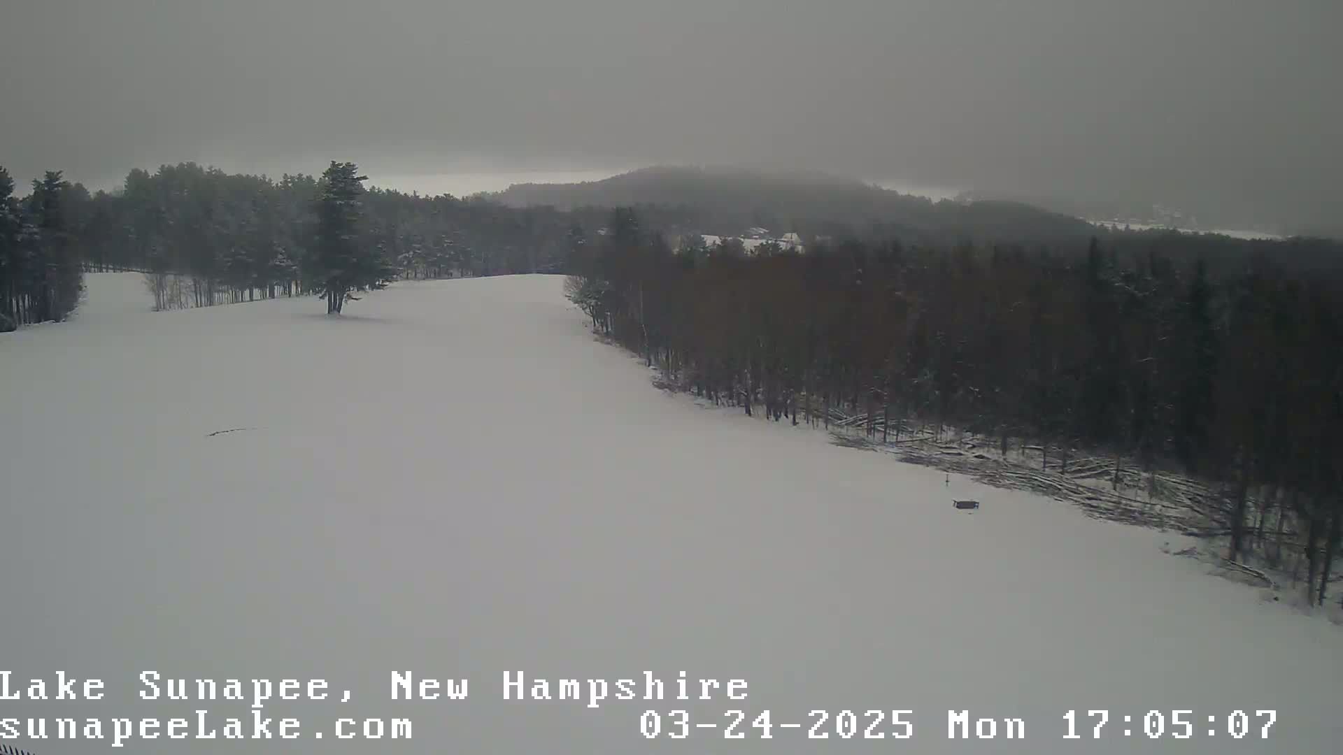 A snow-covered landscape, featuring a gently sloping hill lined with dark trees under an overcast sky.