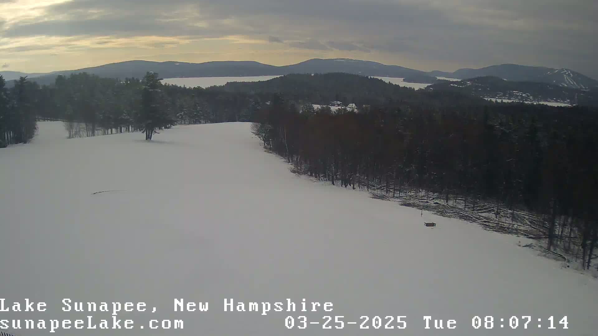 A snow-covered landscape shows a snowy hill sloping down to a line of dark trees, beyond which lies a lake and distant mountains under an overcast sky.