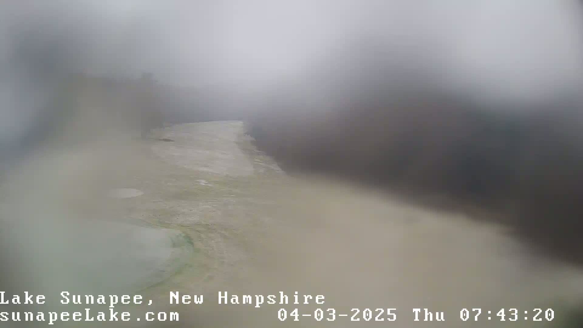 A foggy, overcast view of a shoreline with a body of still water.