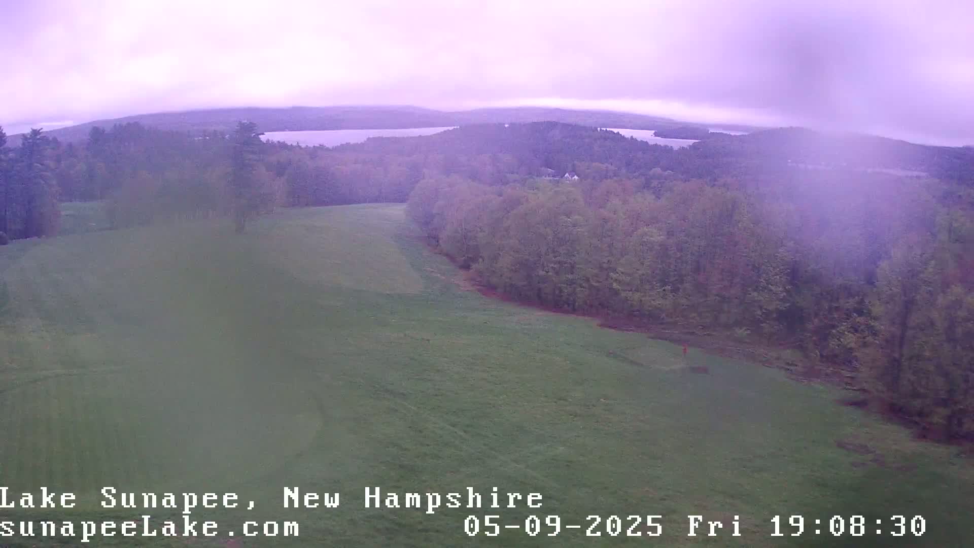 A hazy, overcast view shows a grassy field sloping down to a wooded area, beyond which lies a lake under a light purple sky.