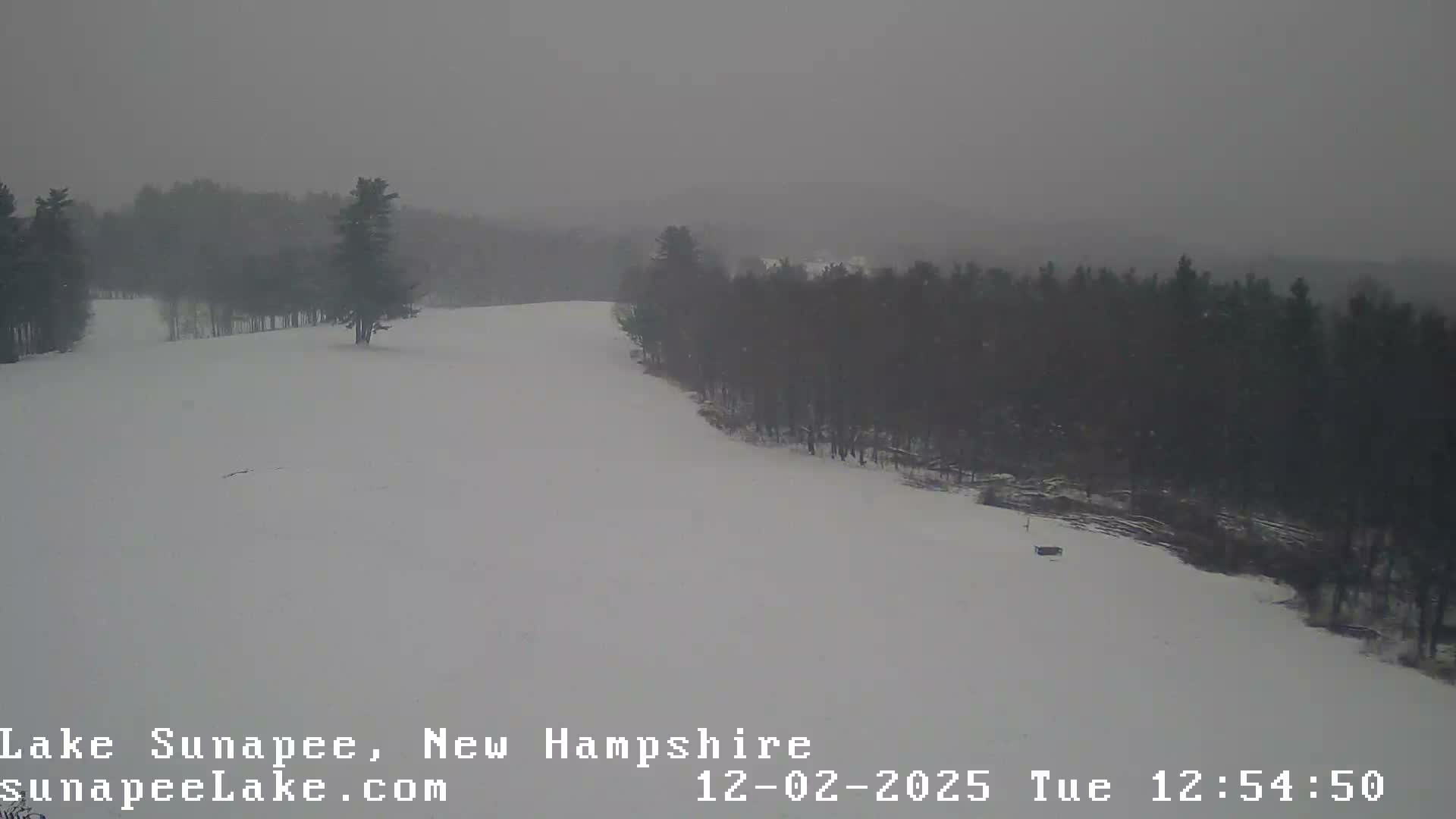 A snow-covered slope, flanked by dark evergreen trees, recedes into a hazy, overcast distance under light, falling snow.