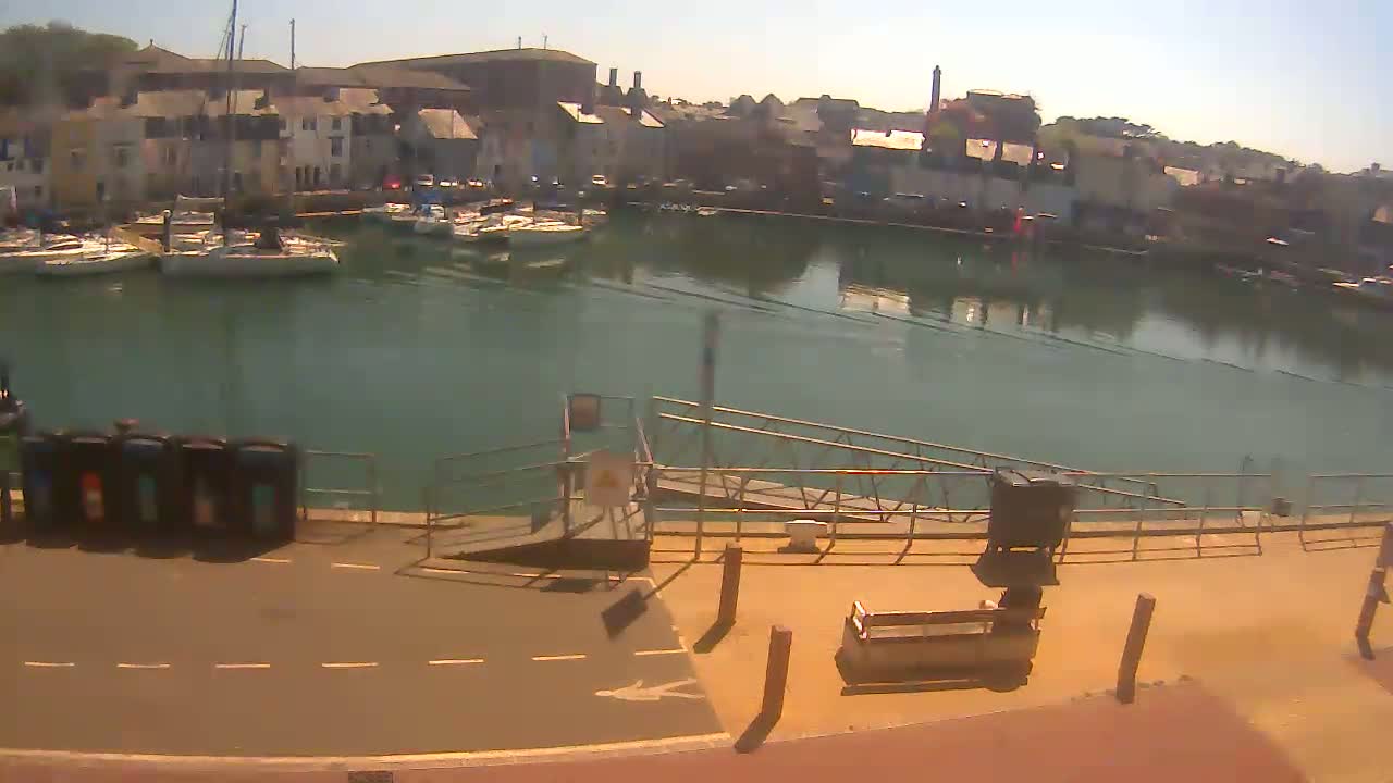 A harbor filled with sailboats is seen on a sunny day, next to a paved walkway and a small dock with a ramp.