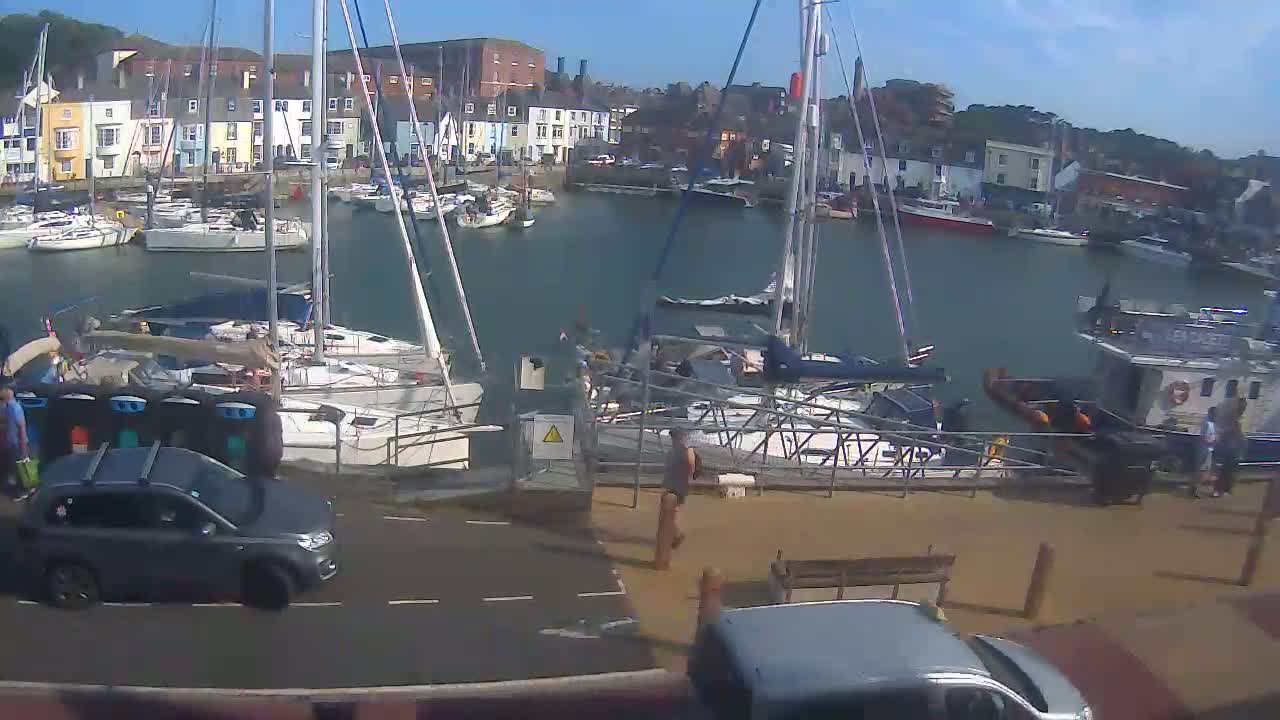 A harbor filled with sailboats on a sunny day, with cars parked nearby and people walking on a dock.