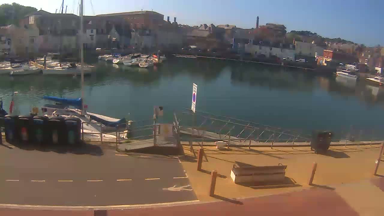 A calm harbor filled with sailboats is viewed from a waterfront path on a sunny day.