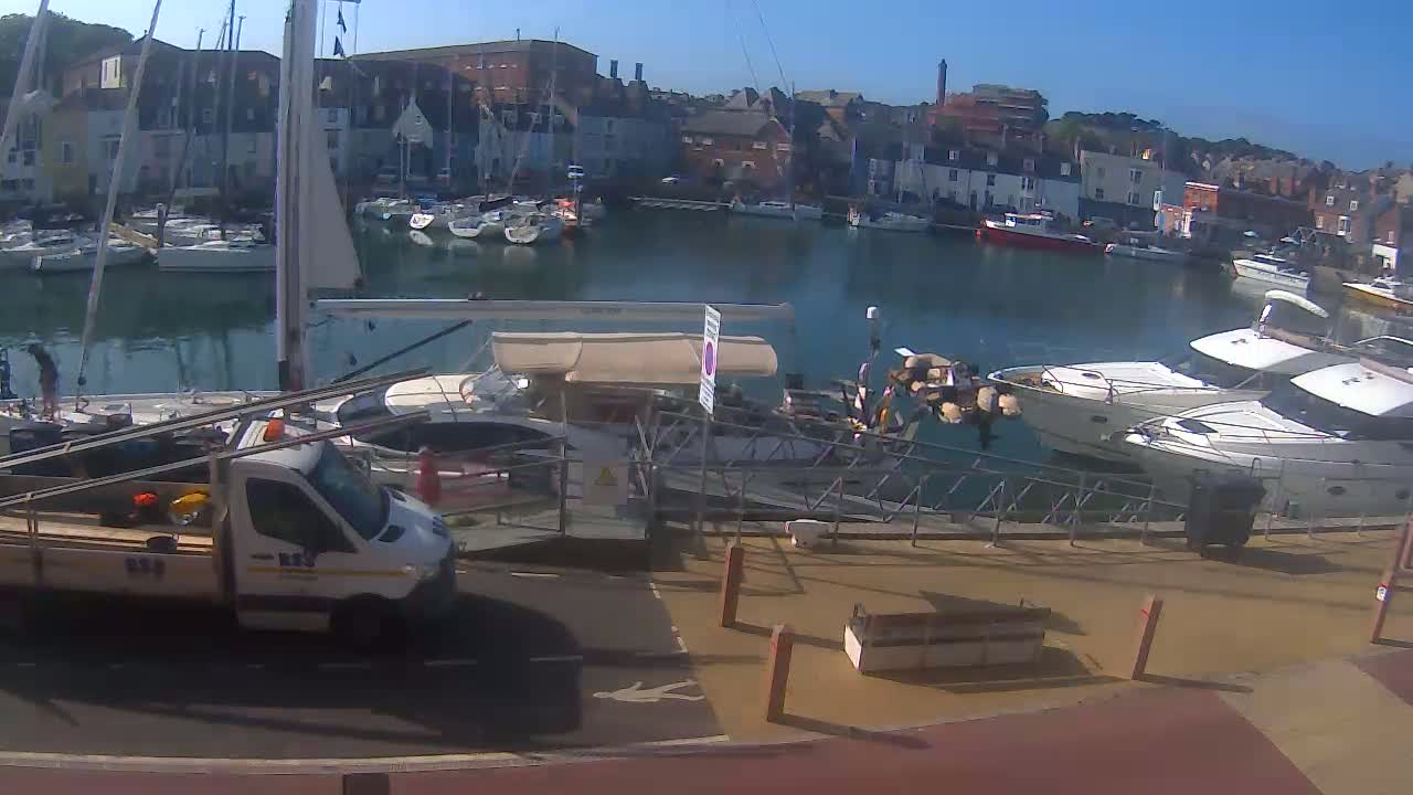 A sunny harbor scene shows numerous sailboats and motorboats docked, with a white van parked near a dock.