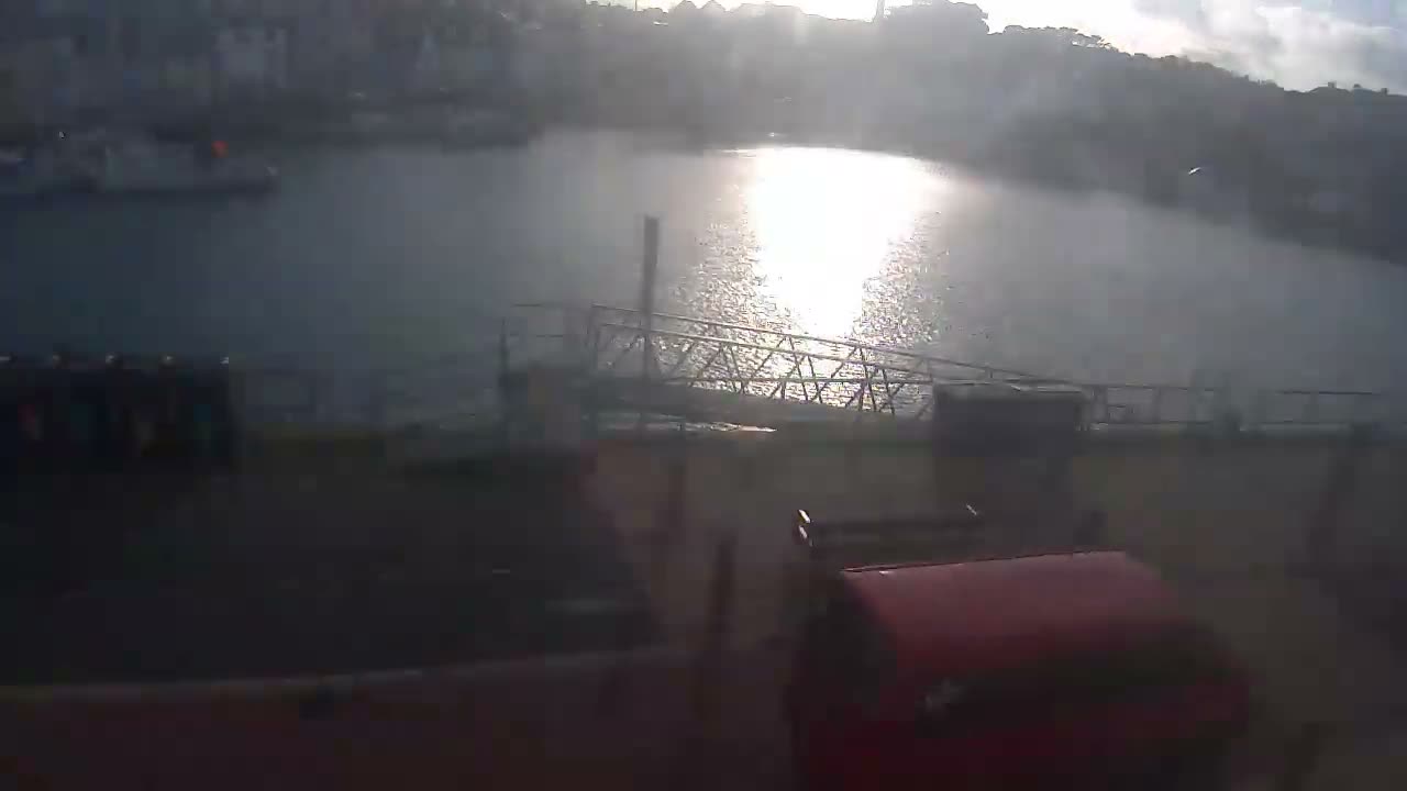 An overcast sky hangs over a calm harbor filled with numerous moored boats and bordered by town buildings, as seen from an elevated perspective overlooking a quay with portable toilets and a gangway.