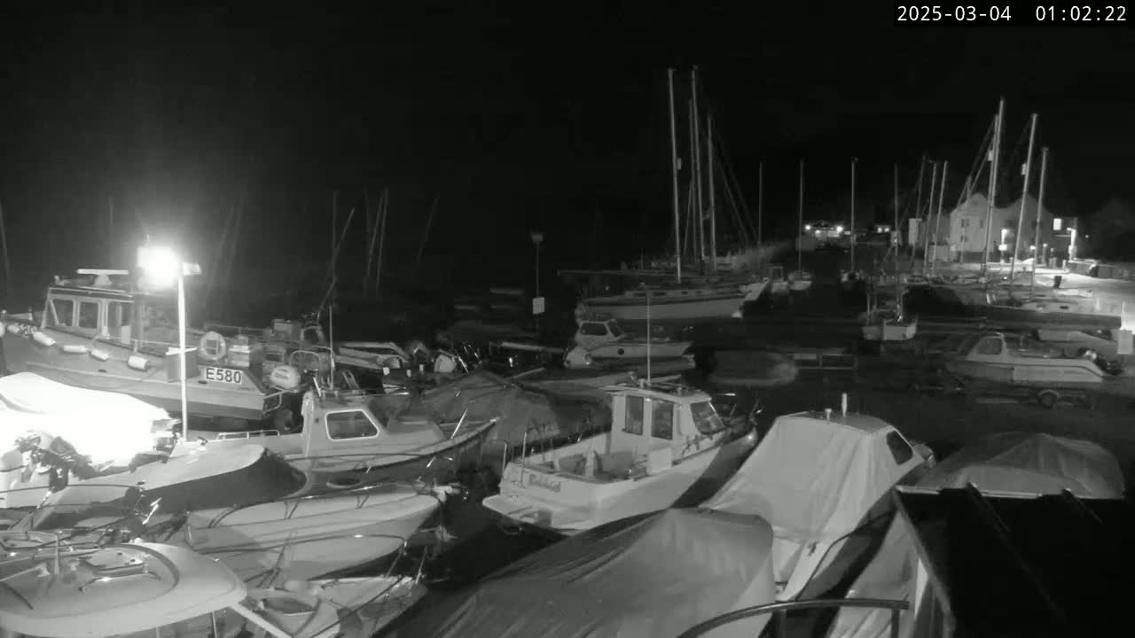 A nighttime, black-and-white view of a harbor filled with numerous boats and sailboats docked under a dark sky.