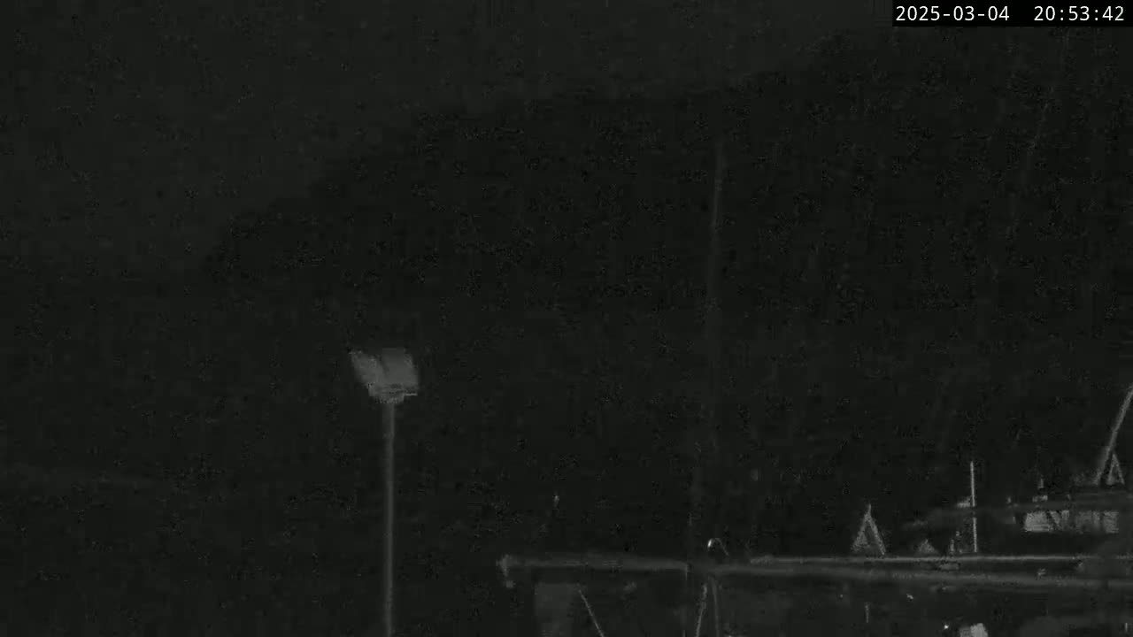 A nighttime, low-light image shows a dark scene with a single lamppost, some indistinct objects in the distance, and a dark sky.