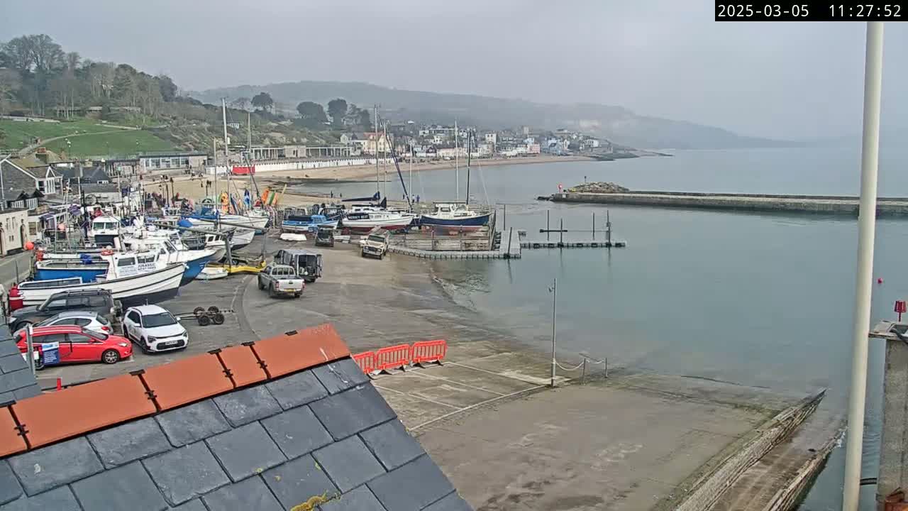 A harbor filled with boats on a cloudy day, with a small town visible on the hillside across the bay.