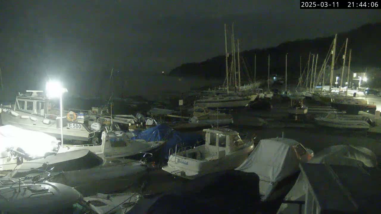 A marina at night is filled with numerous boats, some covered, under a dark, overcast sky.