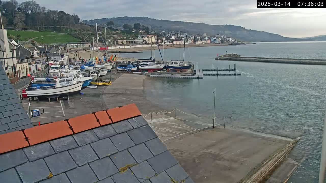 A harbor with numerous boats docked, situated beside a calm bay under an overcast sky.