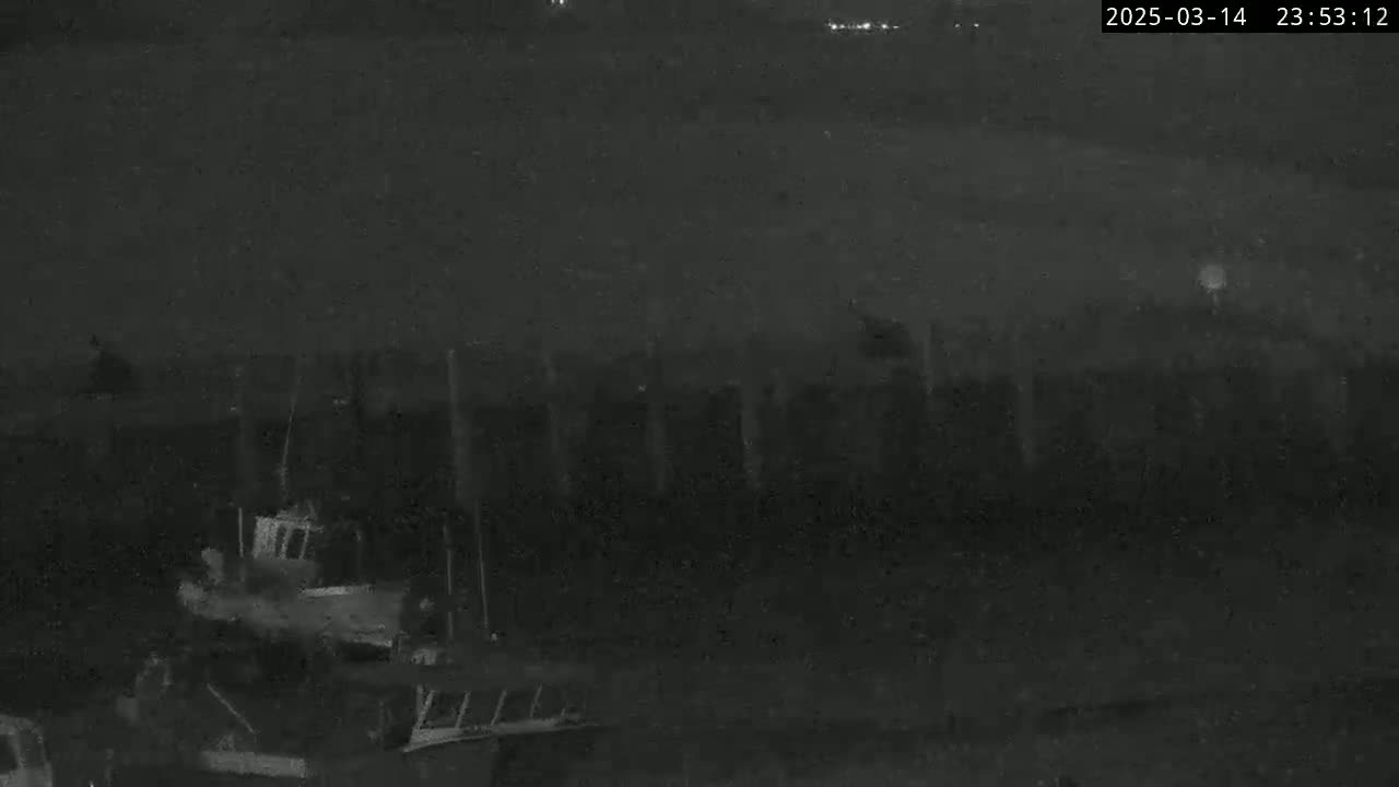 A nighttime, low-light view of several boats moored at a dock under a dark sky.