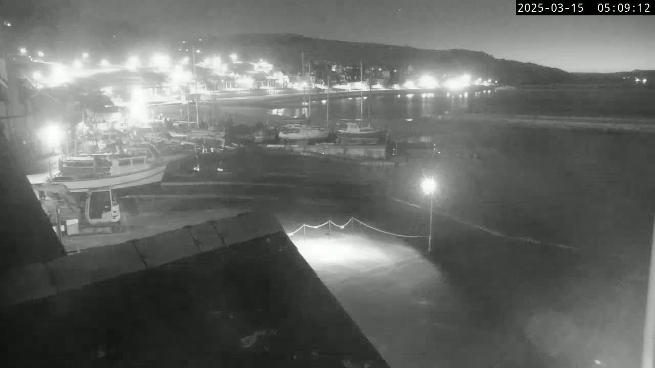A nighttime, black and white view of a harbor with boats, a small construction vehicle, and a town illuminated in the background.