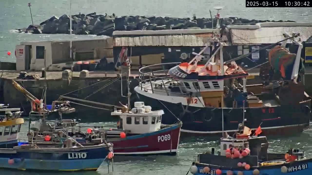 Several fishing boats are docked at a harbor on a sunny day with somewhat choppy water.
