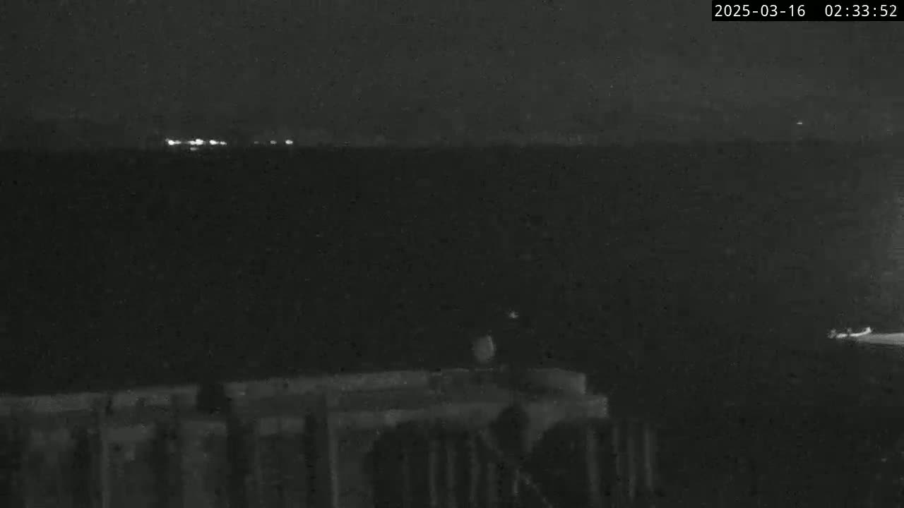 A nighttime, low-light image shows a dark body of water with distant lights on the horizon and a dark structure in the foreground.