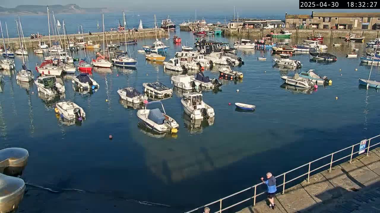 Many boats are moored in a harbor on a sunny day.
