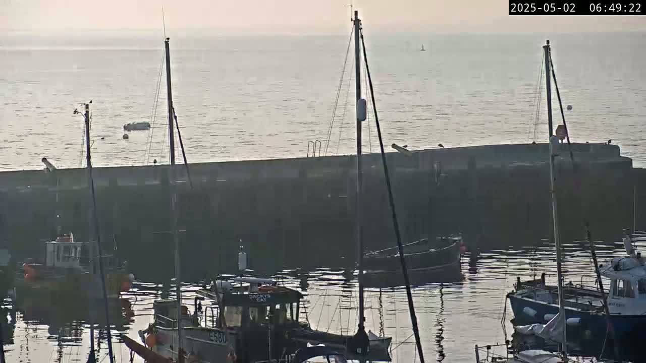Several small boats are moored at a harbor wall on a calm, hazy morning.