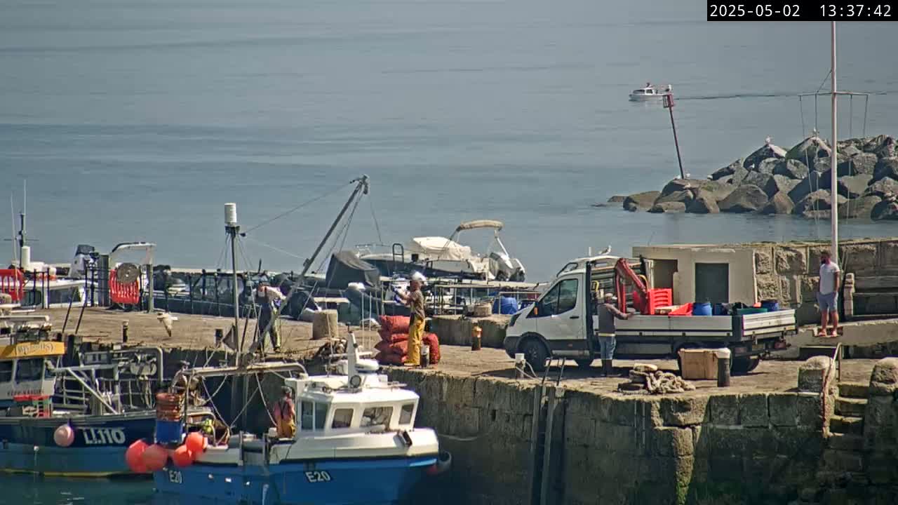 Several fishing boats are moored at a harbor on a sunny day, with people working on the dock and a small truck parked nearby.
