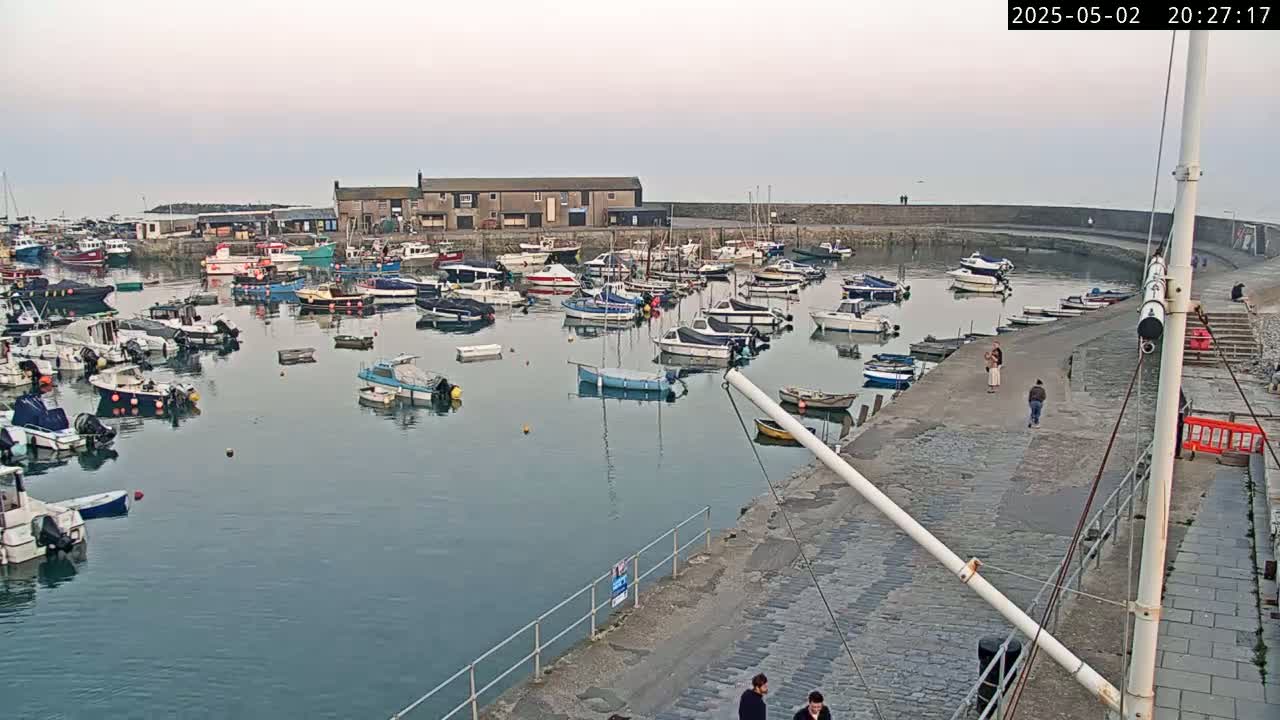 Numerous boats are moored in a harbor at dusk, with a few people walking along a stone path beside the water.