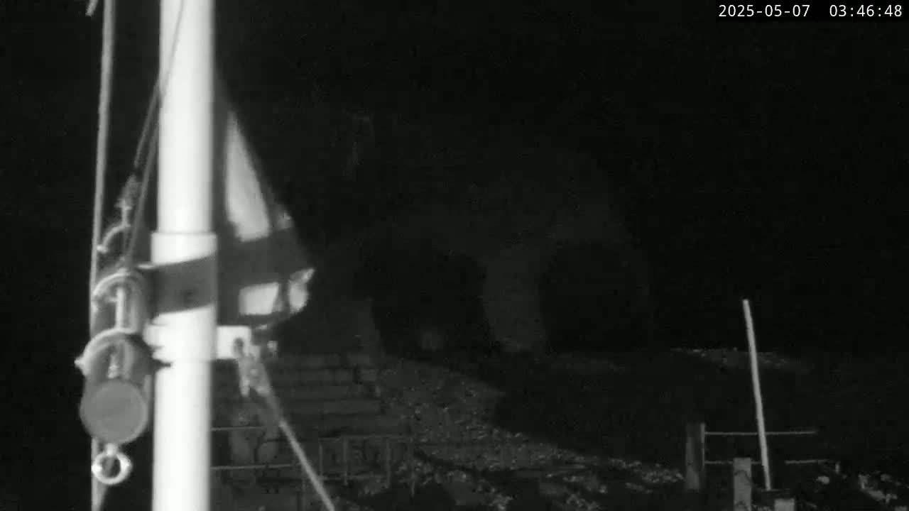 A nighttime, low-light image shows a flagpole with a partially visible flag and dark, indistinct structures in the background.
