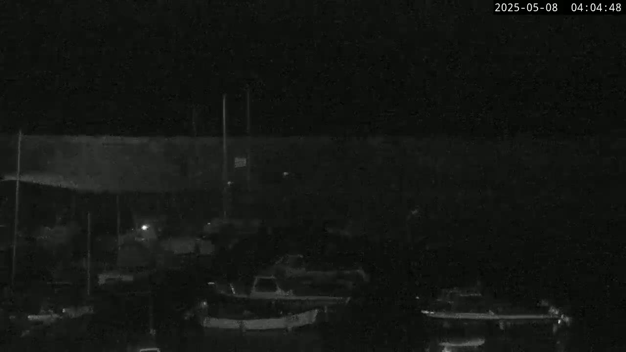 A nighttime, low-light image shows numerous boats docked at a marina under a dark sky.