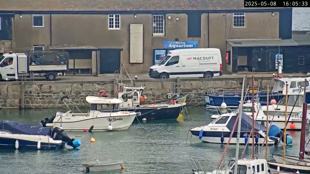 Numerous boats are moored in a harbor next to a stone building and a white van, under an overcast sky.